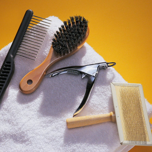 Grooming Supplies