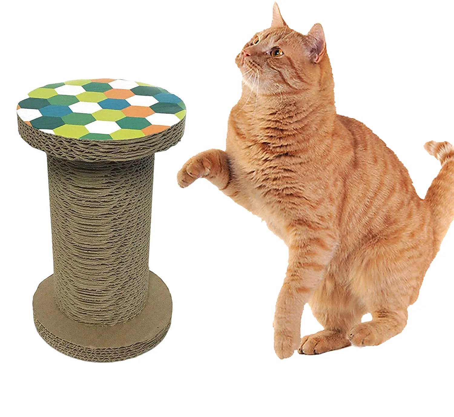 Cat Scratcher Toy