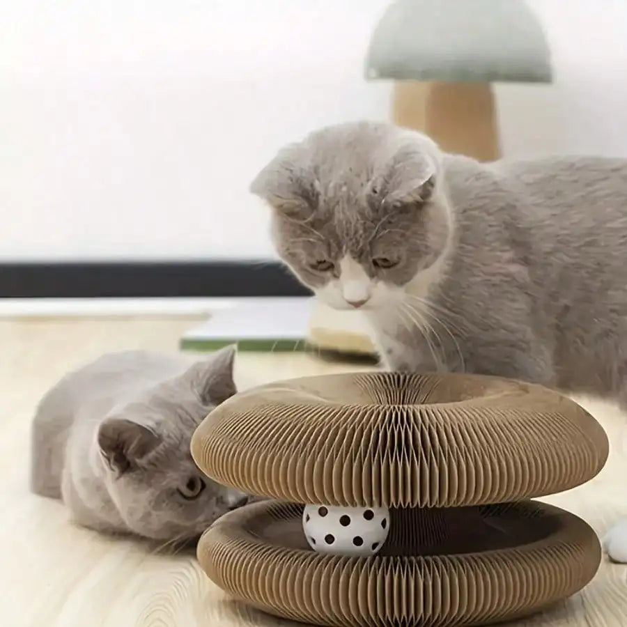 , Magic Organ Cat Scratching Board