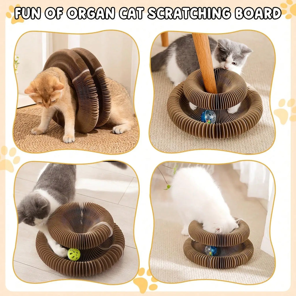 , Magic Organ Cat Scratching Board