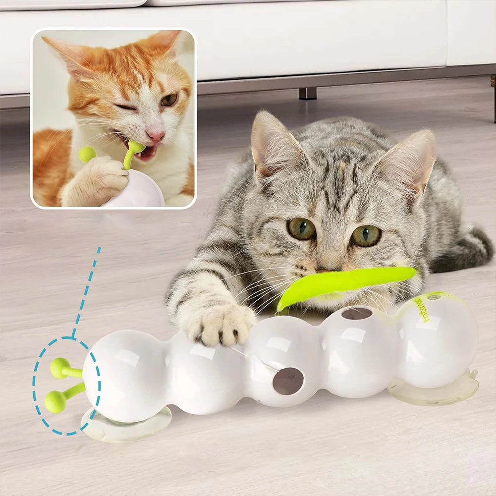 Caterpillar Teasing Cat Toy