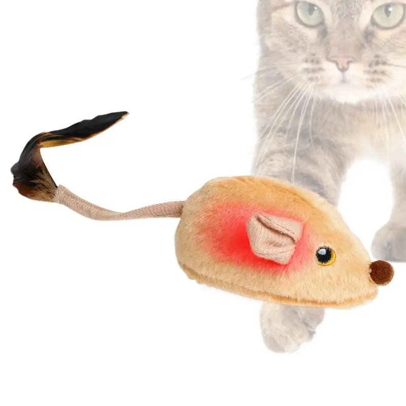 CatMouse Toy