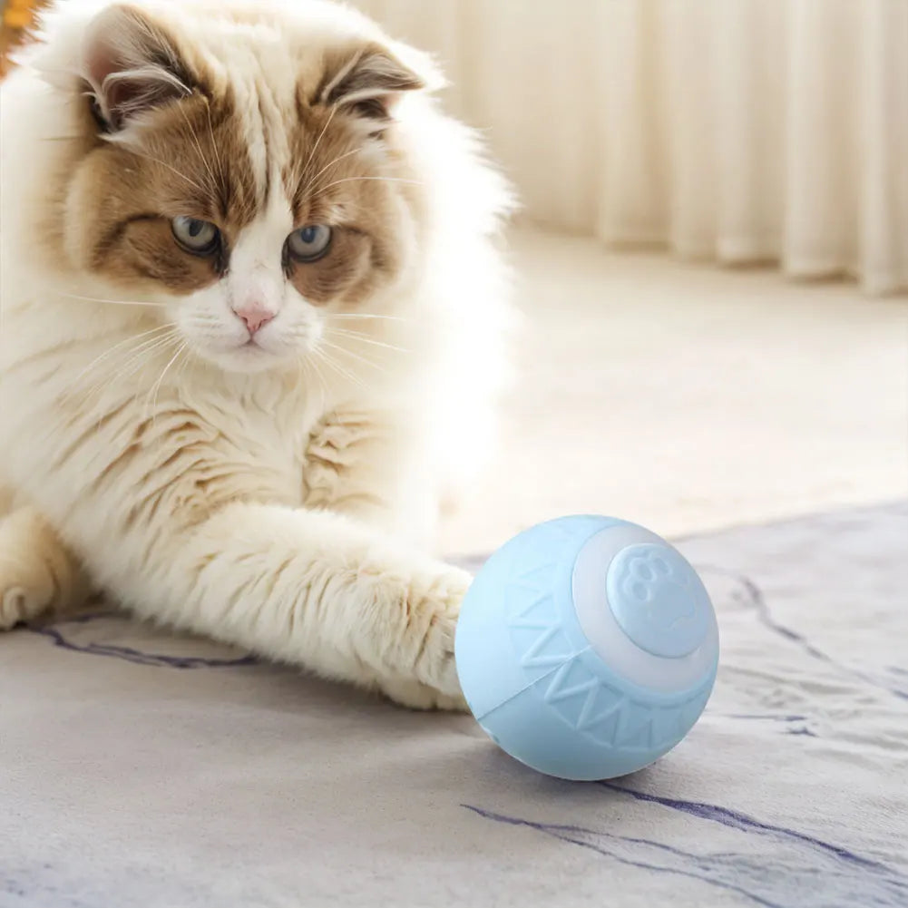 1-6pcs Automatic Rolling Ball Interactive Cat