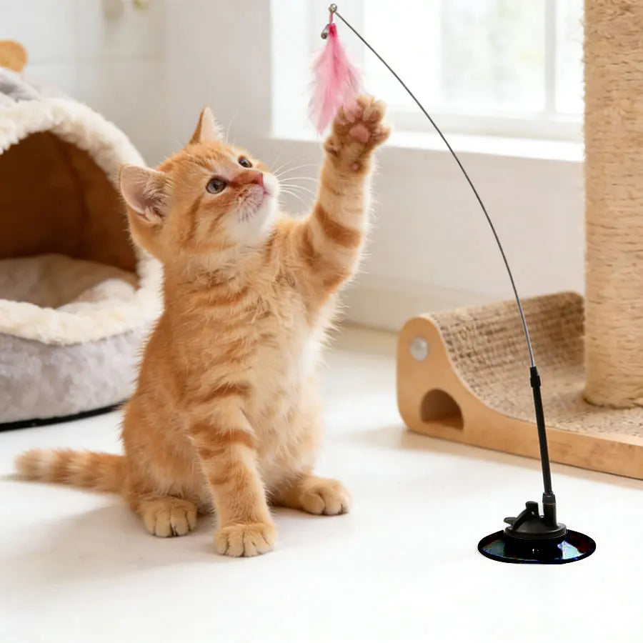 Interactive Suction Cup Cat Toys,