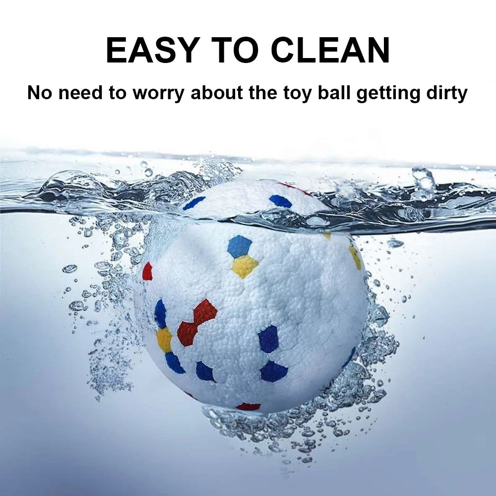 Dog Automatic Ball Throw
