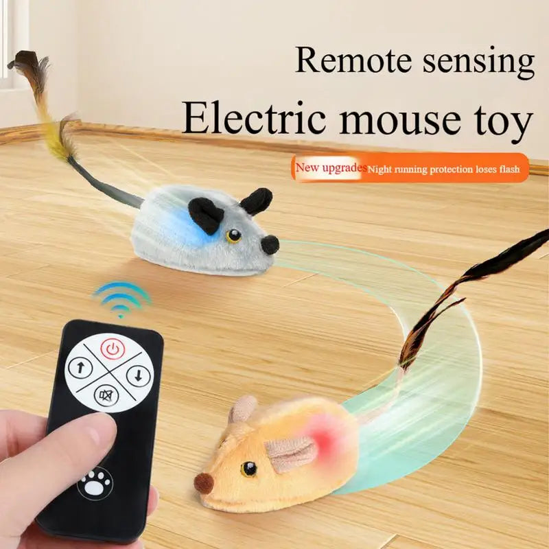 CatMouse Toy