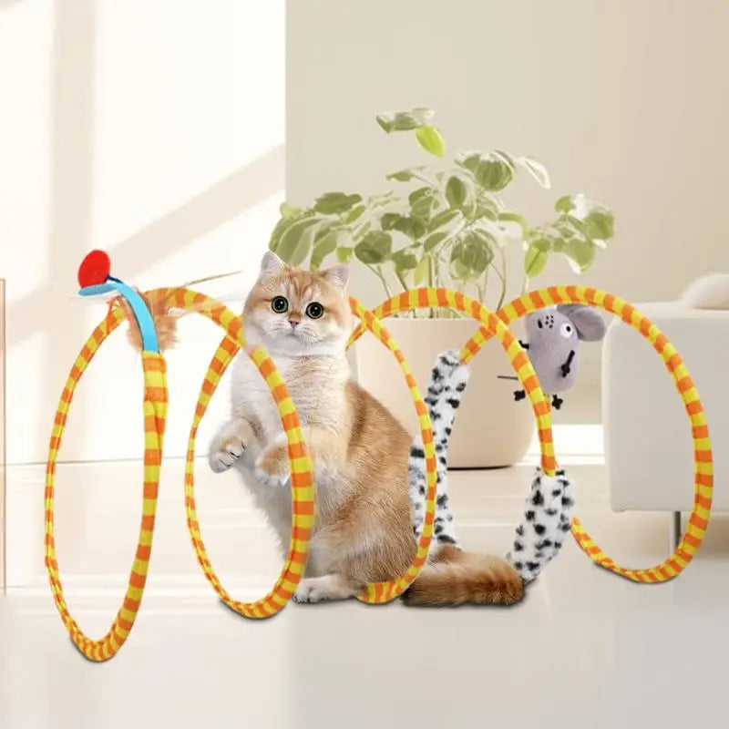Cat Spring Toys Multifunctional C