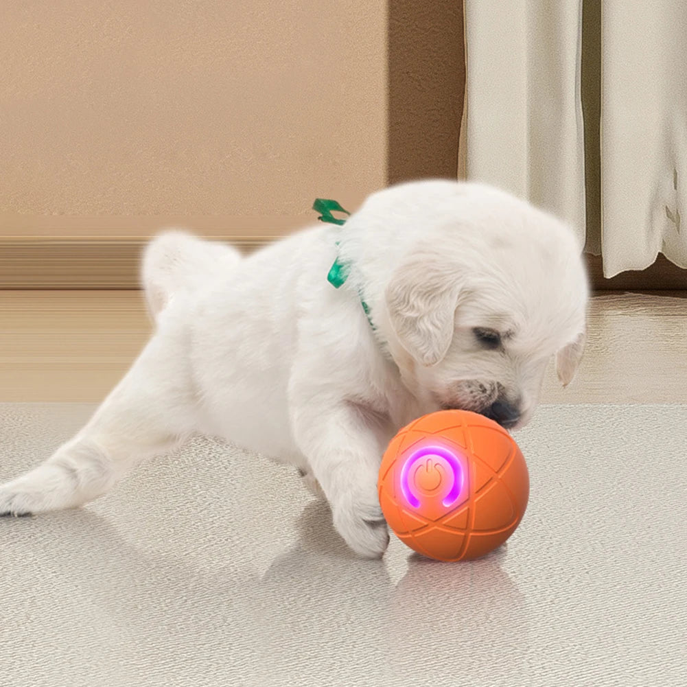 Automatic Moving Bounce Rolling Ball