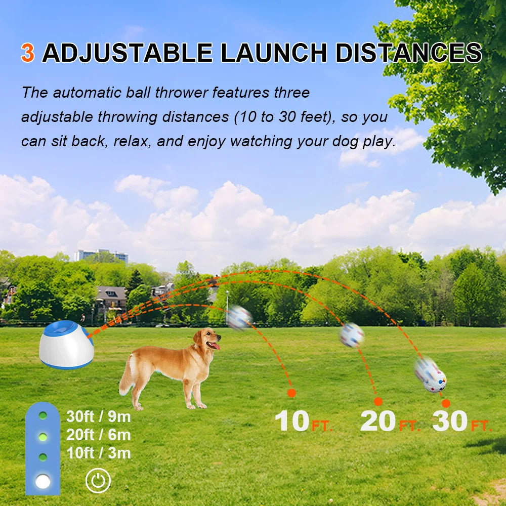 Dog Automatic Ball Throw