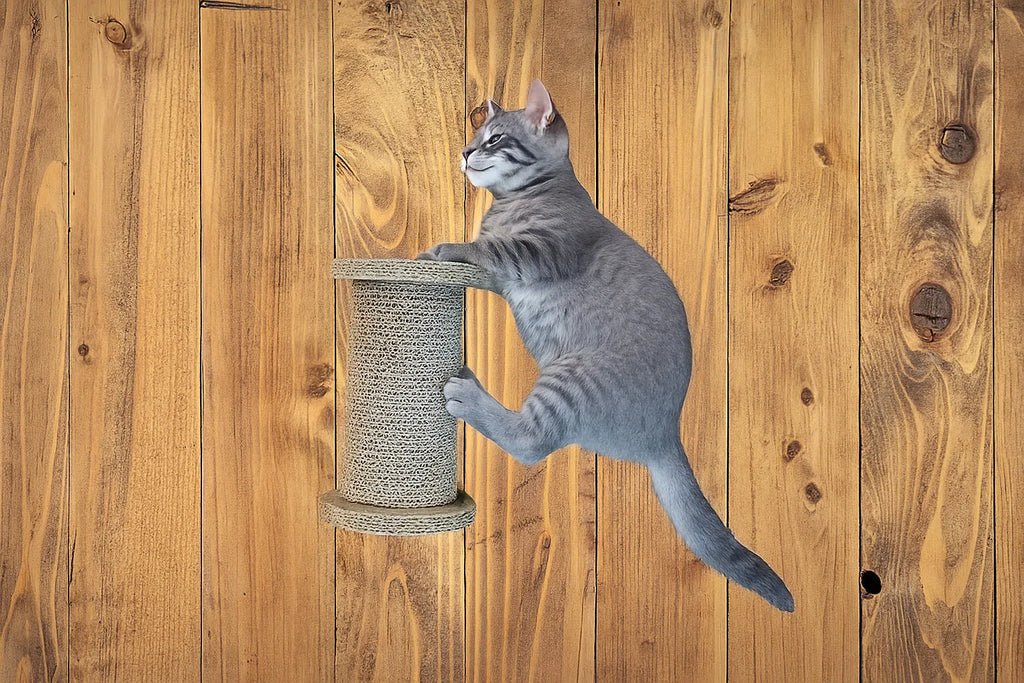 Cat Scratcher Toy