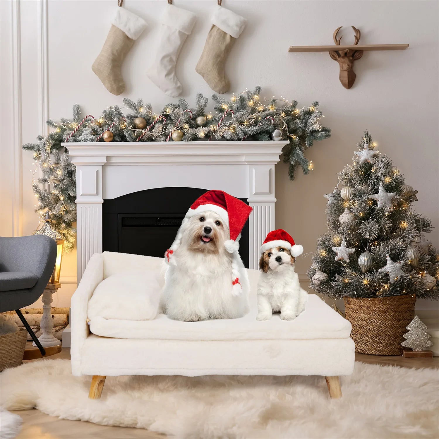 Pet Stool Bed